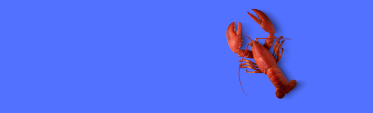 How Do Lobsters Grow? Getting Comfortable With Being Uncomfortable In Marketing
